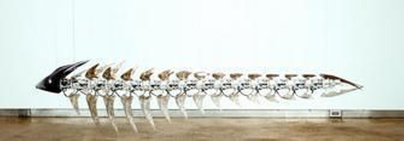 1. 'Ultima Mudfox', del coreano Chou U-Ram, una de las piezas que se expondrá en esta edición de la Biacs. 2. Proyecto de iluminación interactivo  concebido por Tom Verebes. 3. El Pabellón Toshiba de la Exposición Universal de Osaka, de Kisho Kurokawa. 4. 'Uninvited Guest', de Chen Wen Ling, una obra que reflexiona sobre el miedo que inspira la tecnología biológica. 5. La 'Silla' de Axel Kilian, un creador habituado a investigar las posibilidades de la programación informática en la arquitectura.