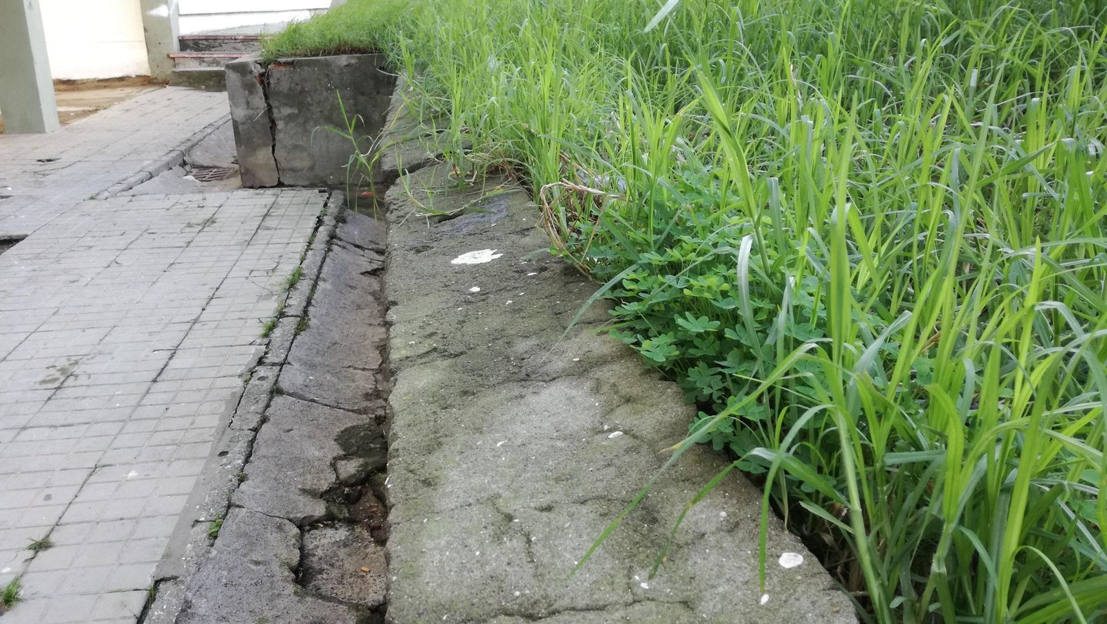 Desplazamiento del muro de contención sobre el que ha alertado Verde y Blanca.