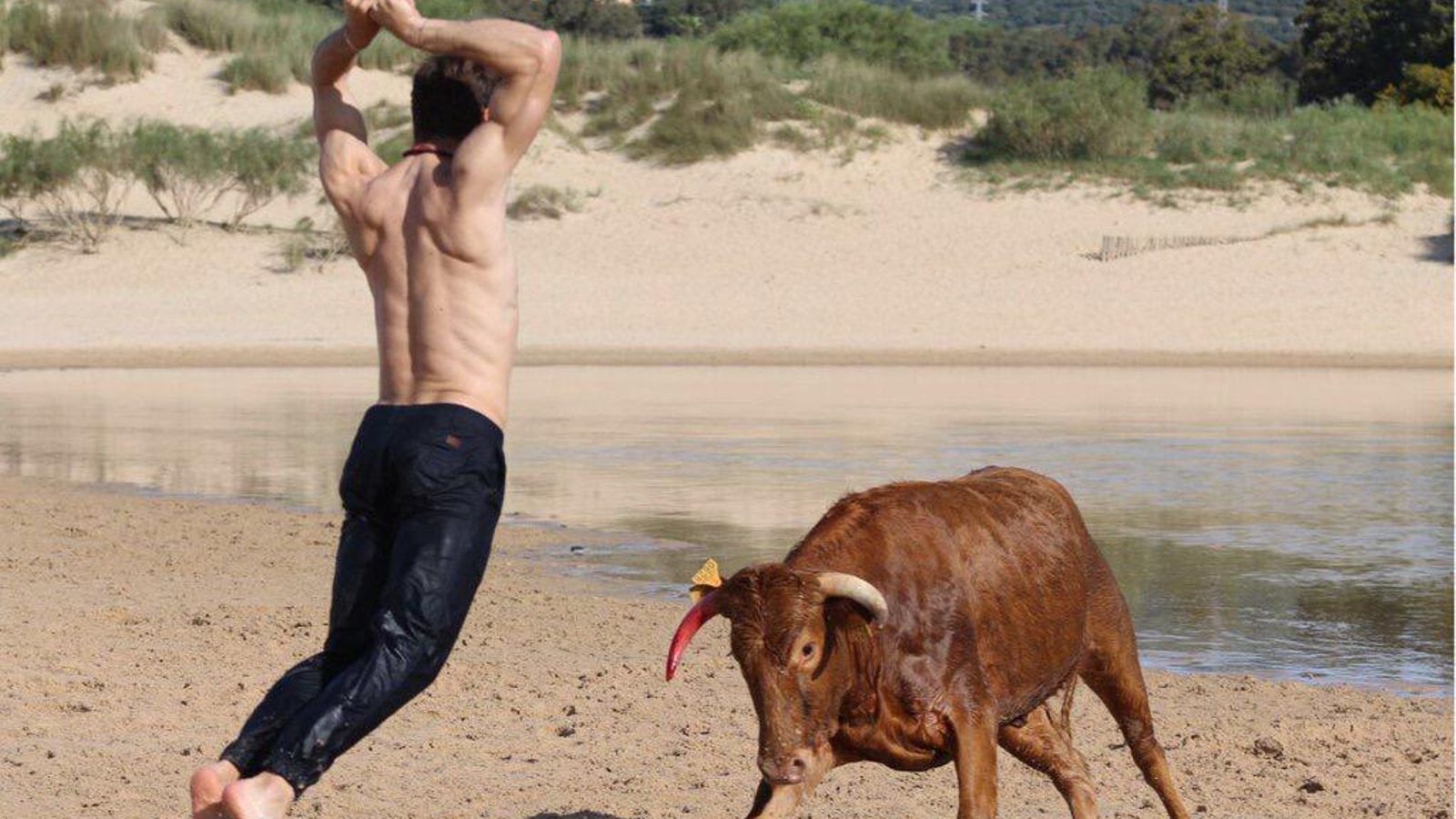 Manuel Escribano, cuadrando en banderillas a una vaca en la playa de Valdevaqueros.