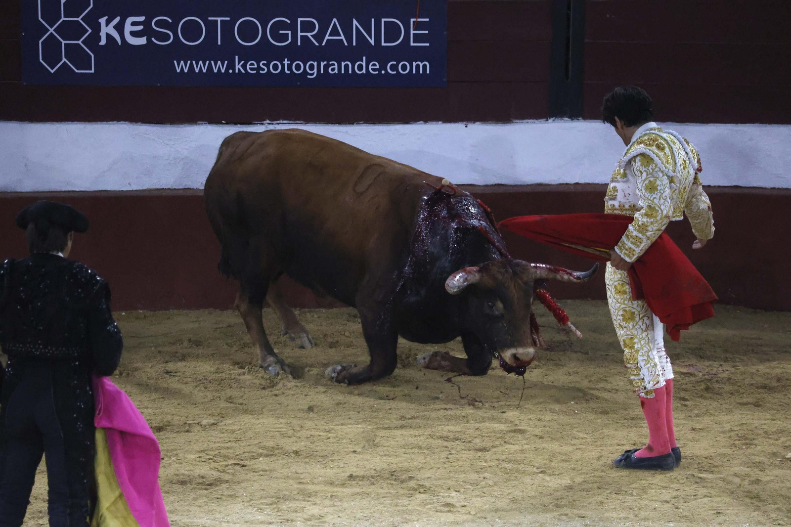 Las fotos de la corrida de toros de Lagunajanda para Manuel Escribano, David Galán y Pepe Moral en Tarifa