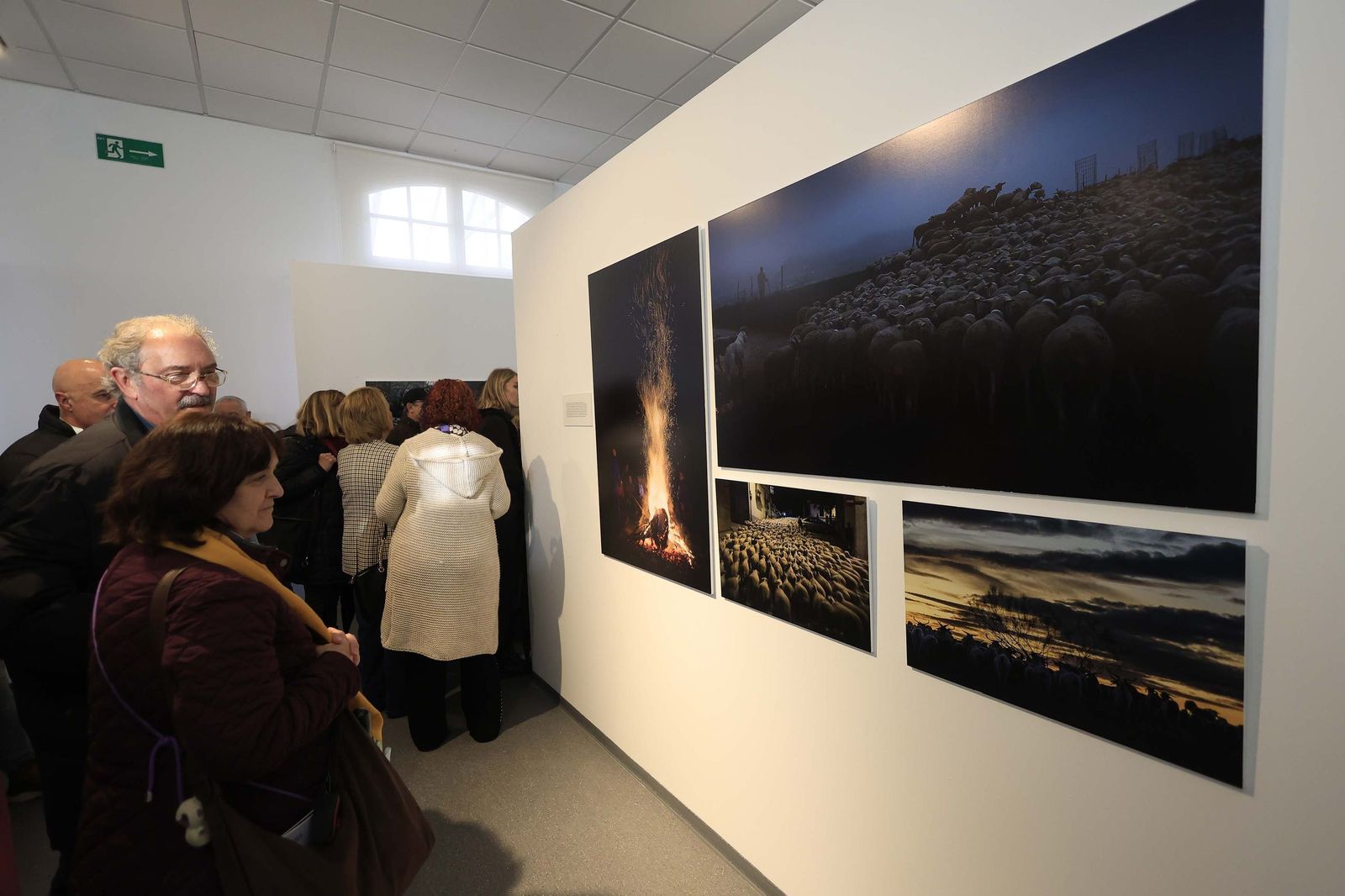 Fotos de la exposición 'Yerba, el corazón verde de la transhumancia' de Katy Muñoz
