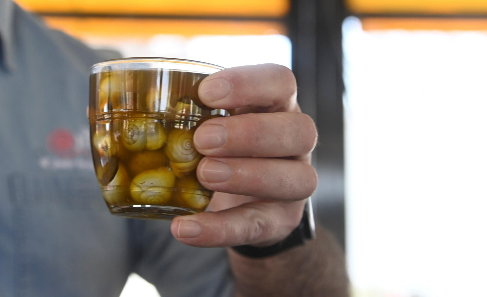 La apertura de los puestos de caracoles en Córdoba