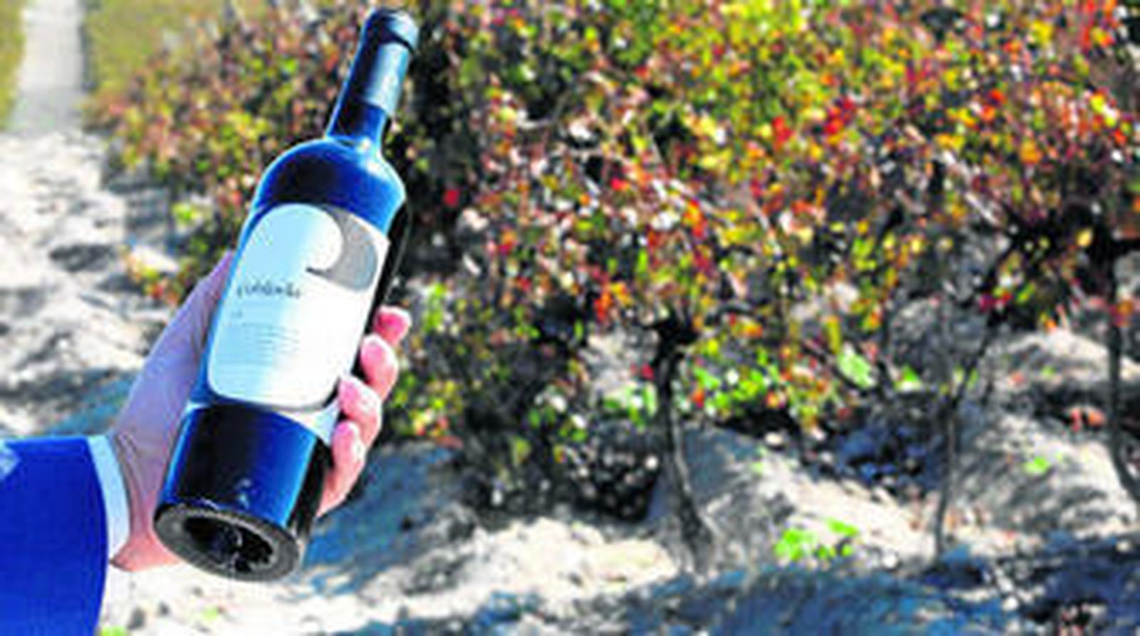 Un sueño hecho tinto