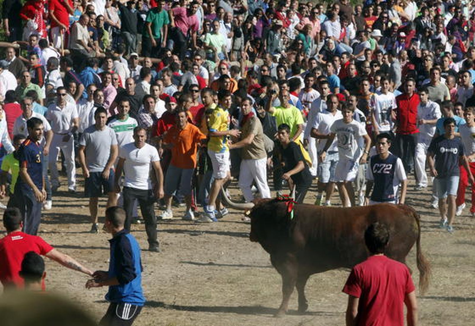 Tordesillas recurrirá al Constitucional la ley que impide la muerte en público del Toro de la Vega