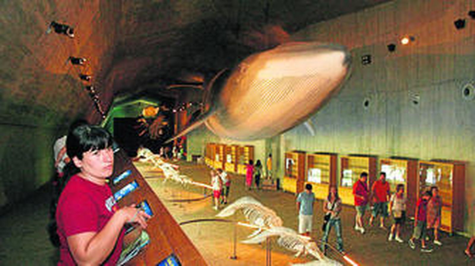 Los grandes cetáceos que se exhibían en el Museo del Mundo Marino de Matalascañas eran uno de sus reclamos más interesantes.