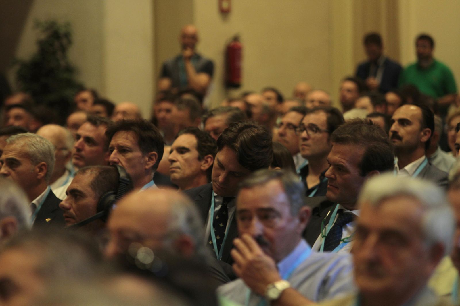 Las Junta General de Accionistas del Betis, en imágenes