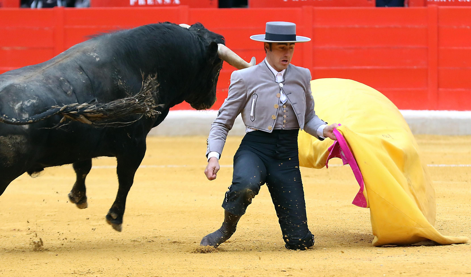 El Festival Taurino Granadown, en imágenes