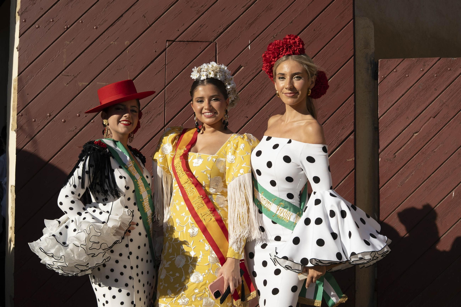 Las imágenes de los toros en Vera