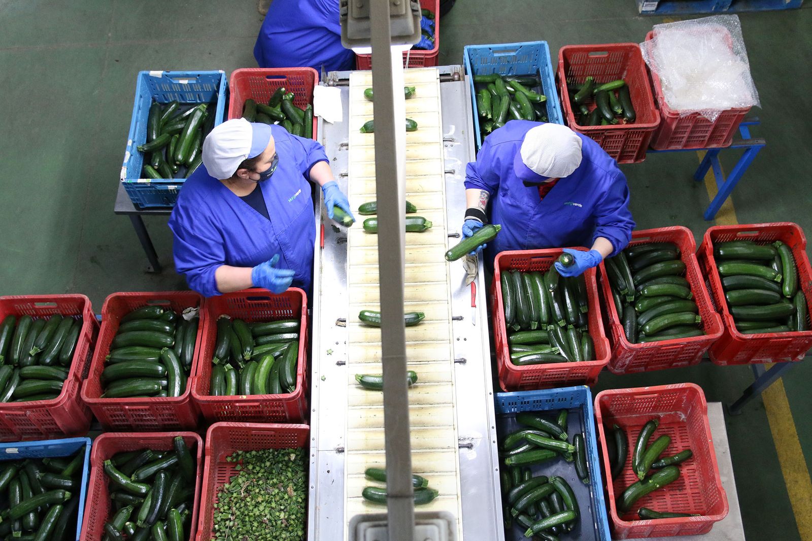 Fotogalería Juanma Moreno visita la cooperativa Murgiverde