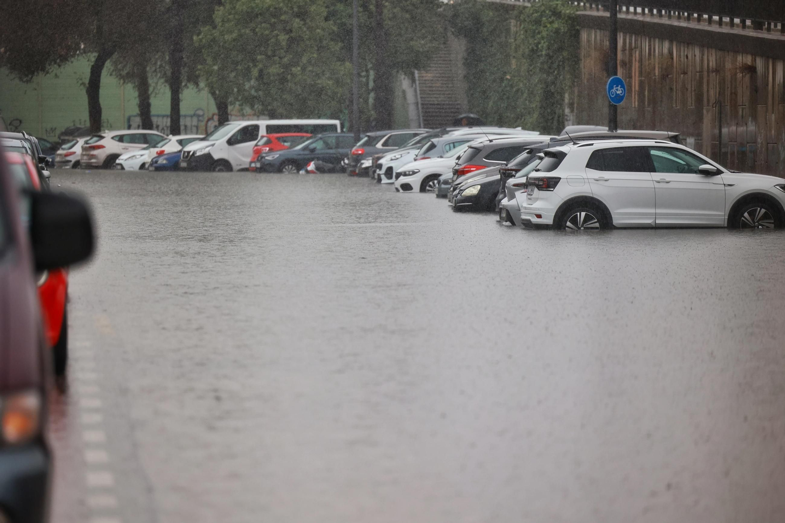 Imágenes de calles inundadas y vecinos achicando agua en San Fernando