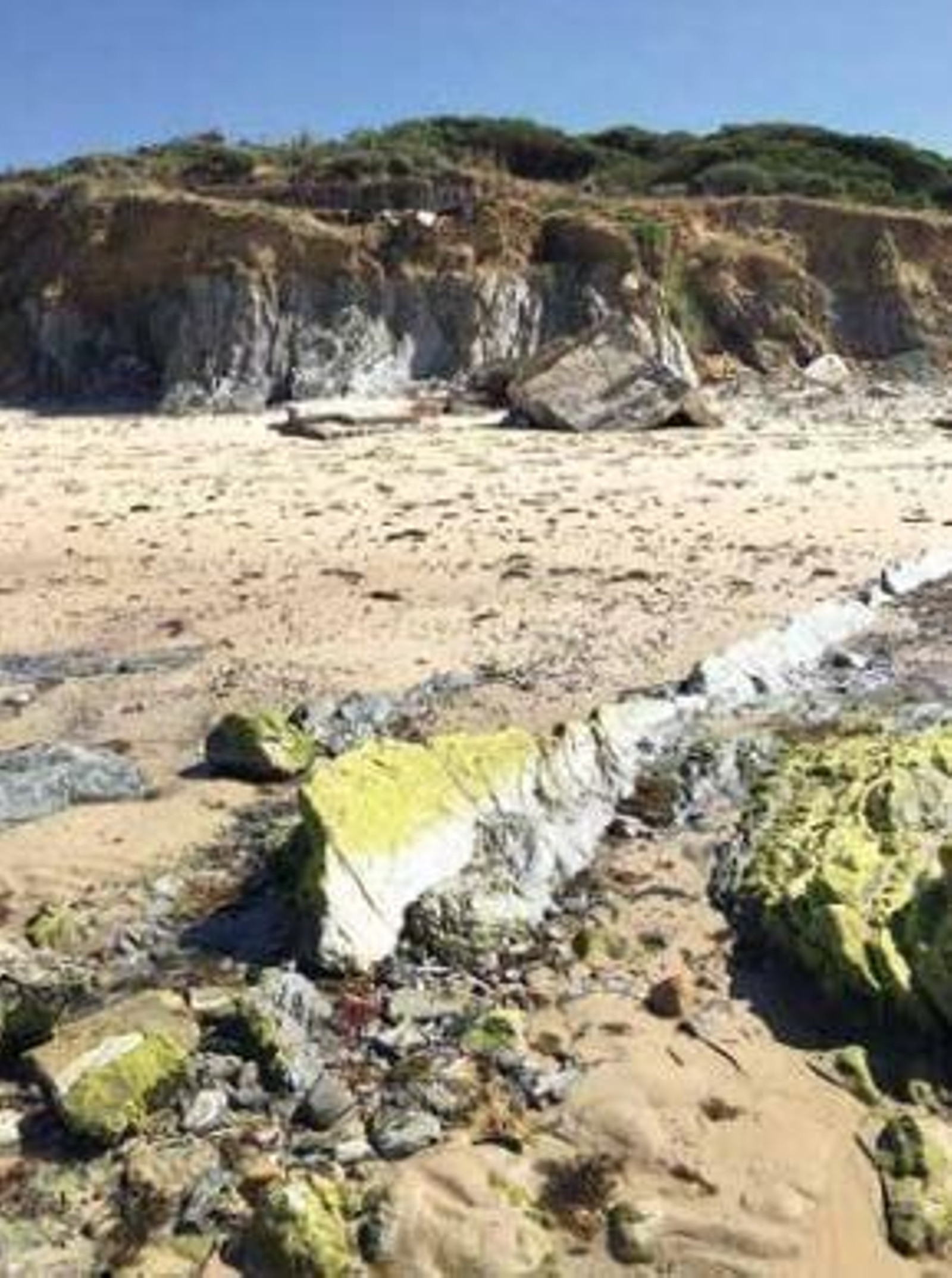 Restos del fortín número 405 (playa de los  Lances, Tarifa), representado en la lámina 4. A pesar del  riesgo de desplome que presentaba, la desatención de las  administraciones responsables, por ley, de su preservación,  permitió su pérdida en 2018.