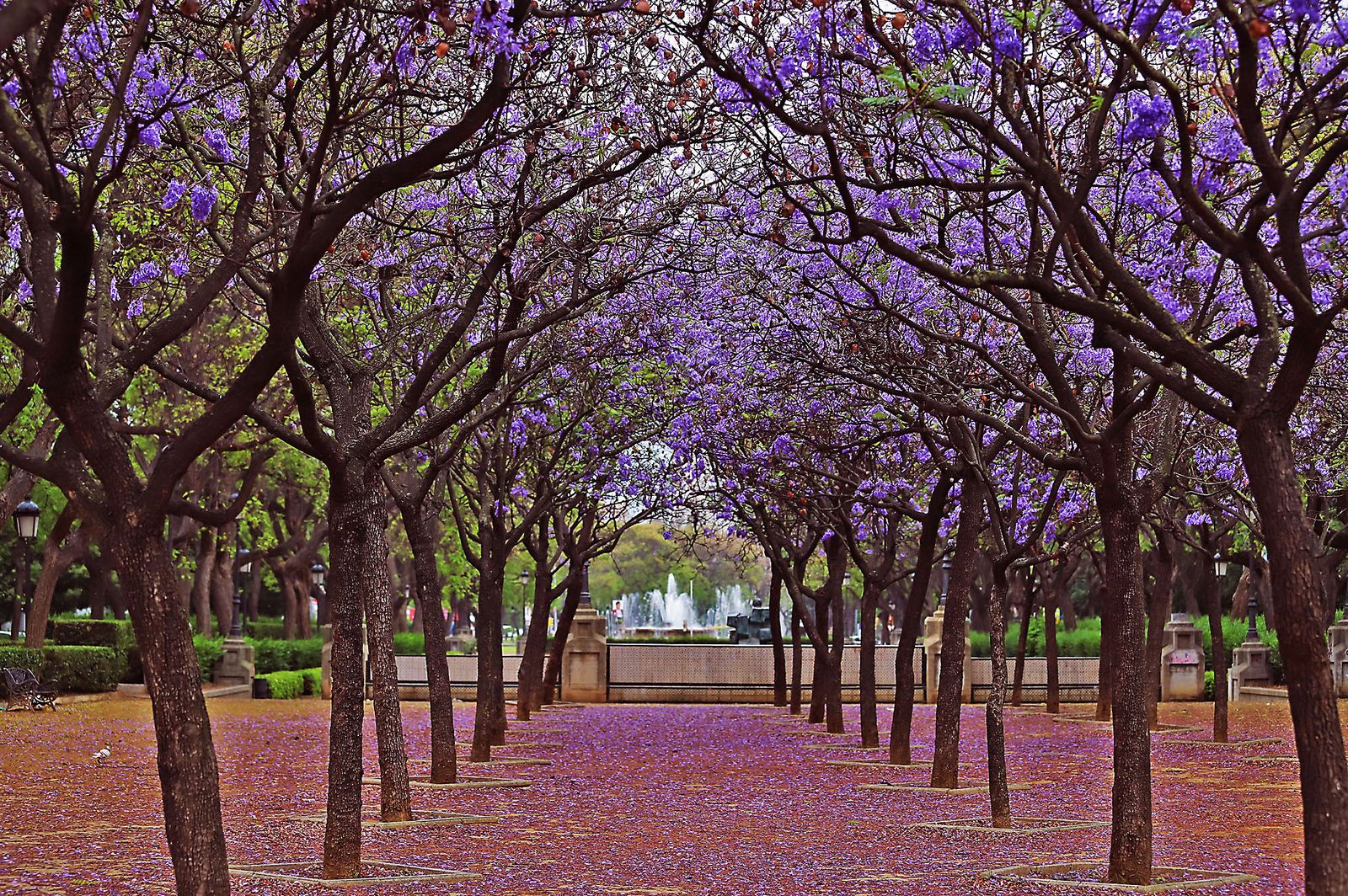 La lluvia en la jornada de domingo en Huelva