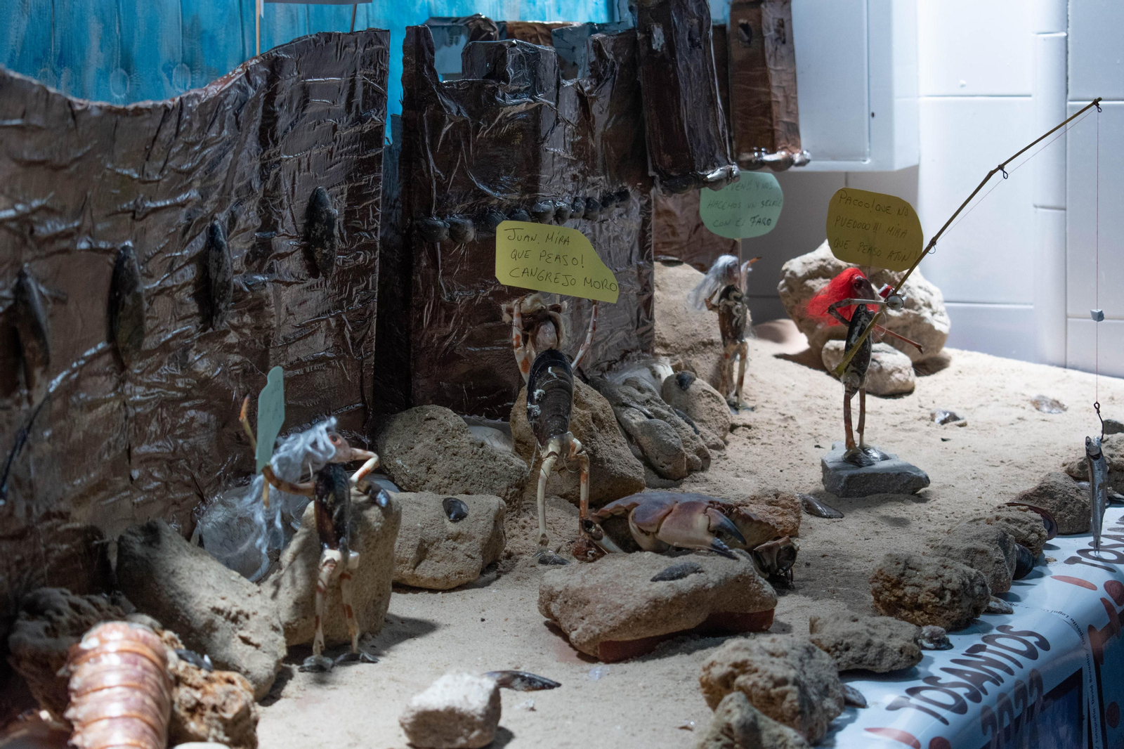 Imágenes de la celebración de los Tosantos en Cádiz