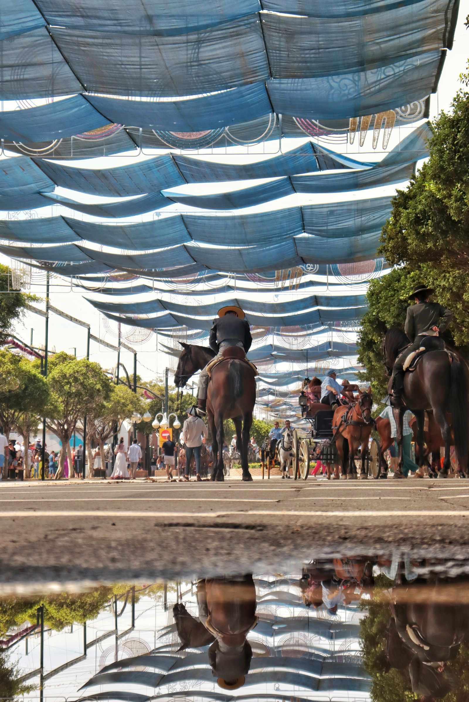 Feria de Málaga: las mejores imágenes de la fiesta en el Real este jueves