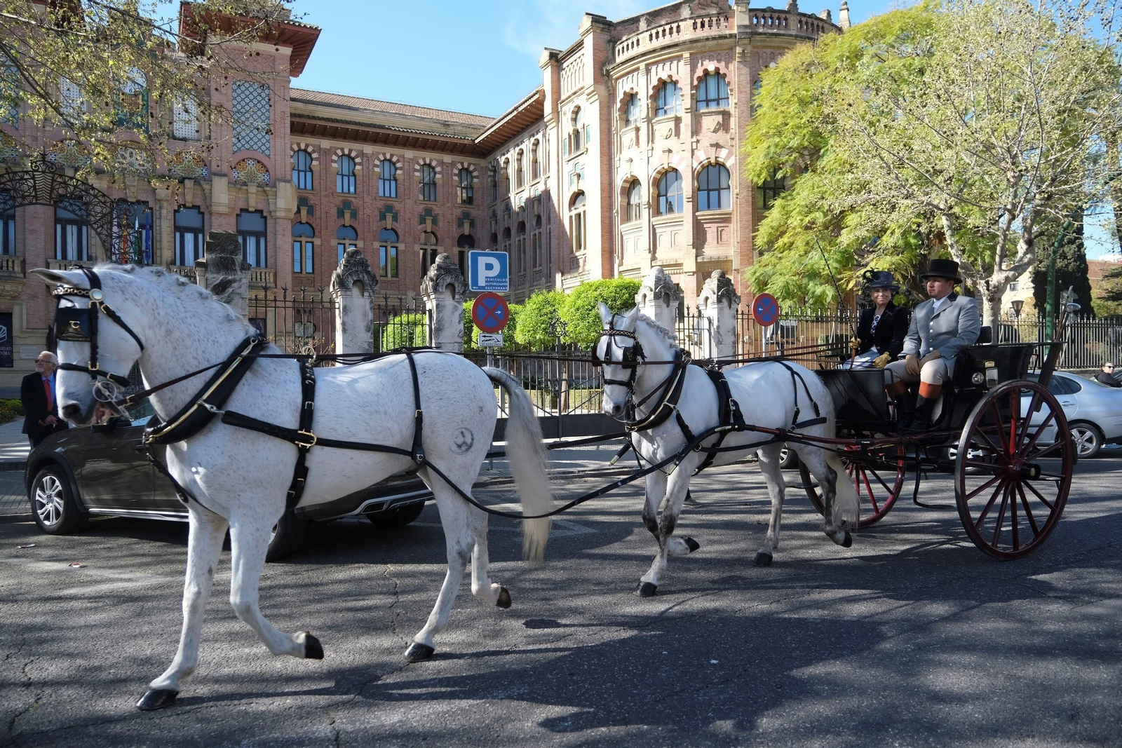 El desfile ecuestre con motivo de los 175 años de la Facultad de Veterinaria de Córdoba, en imágenes