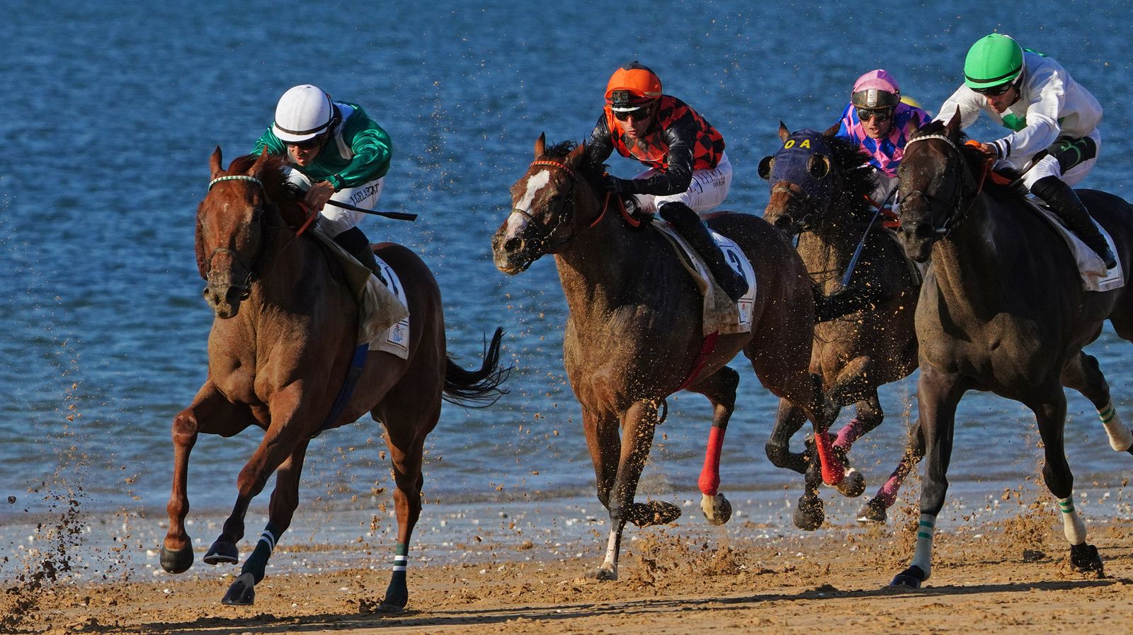 Imágenes del último día de las Carreras de Caballos de Sanlúcar 2022