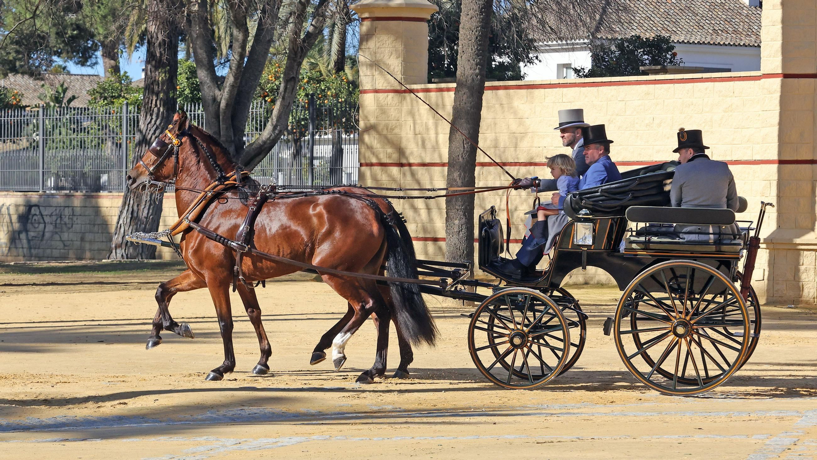 Concurso de enganches por las calles de Jerez