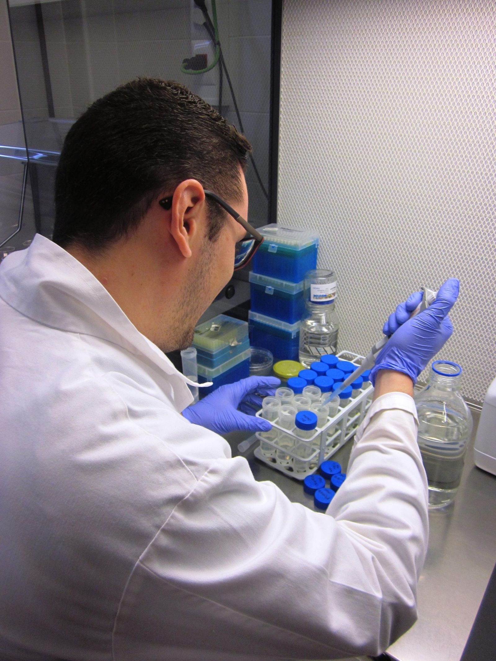 Trabajos de investigacón dentro del laboratorio del grupo Genética de hortícolas (BIO293) de la UAL.