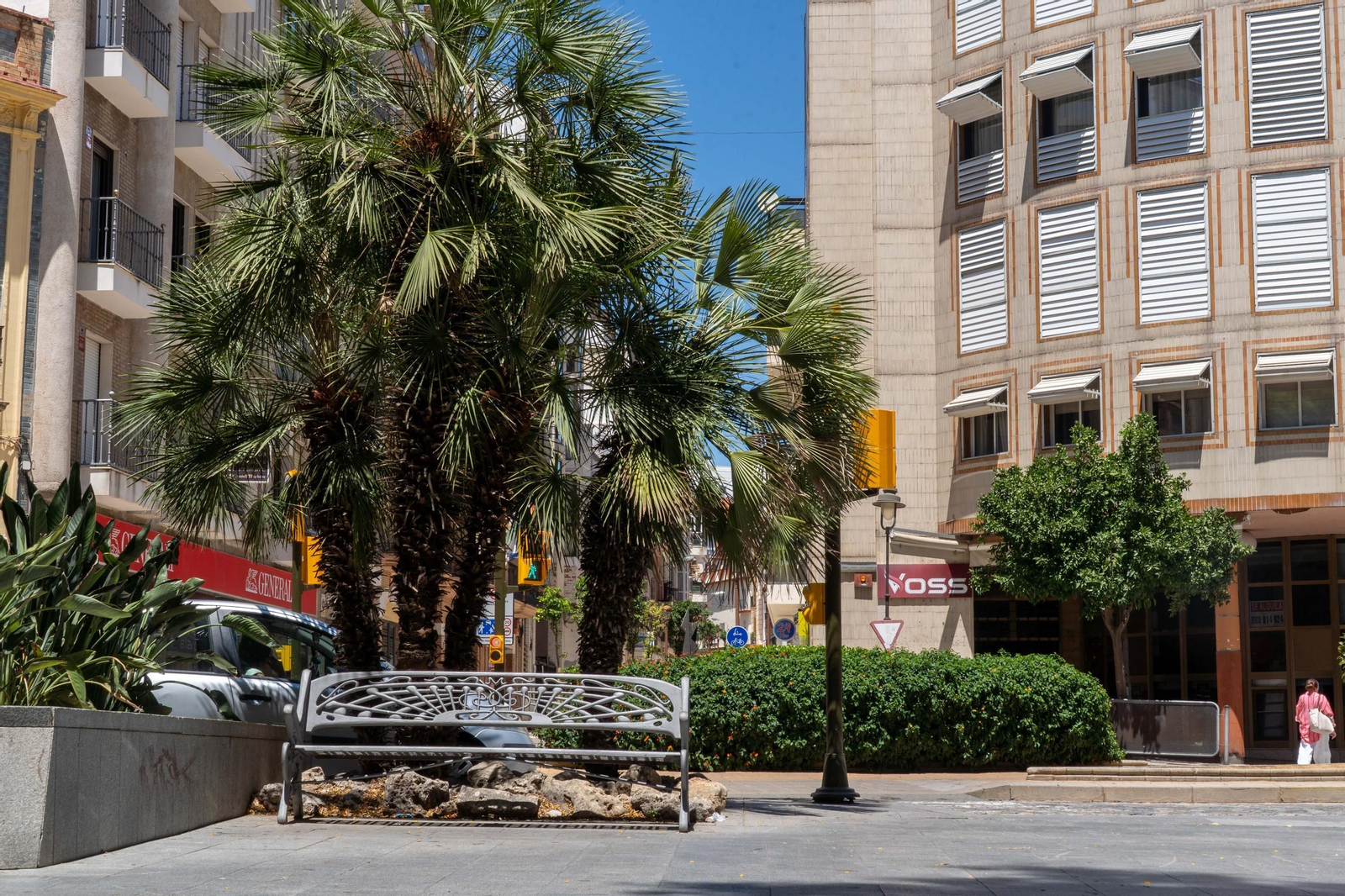 La Plaza Quintero Báez, espacio peatonal, arbolado y punto de encuentro urbano.