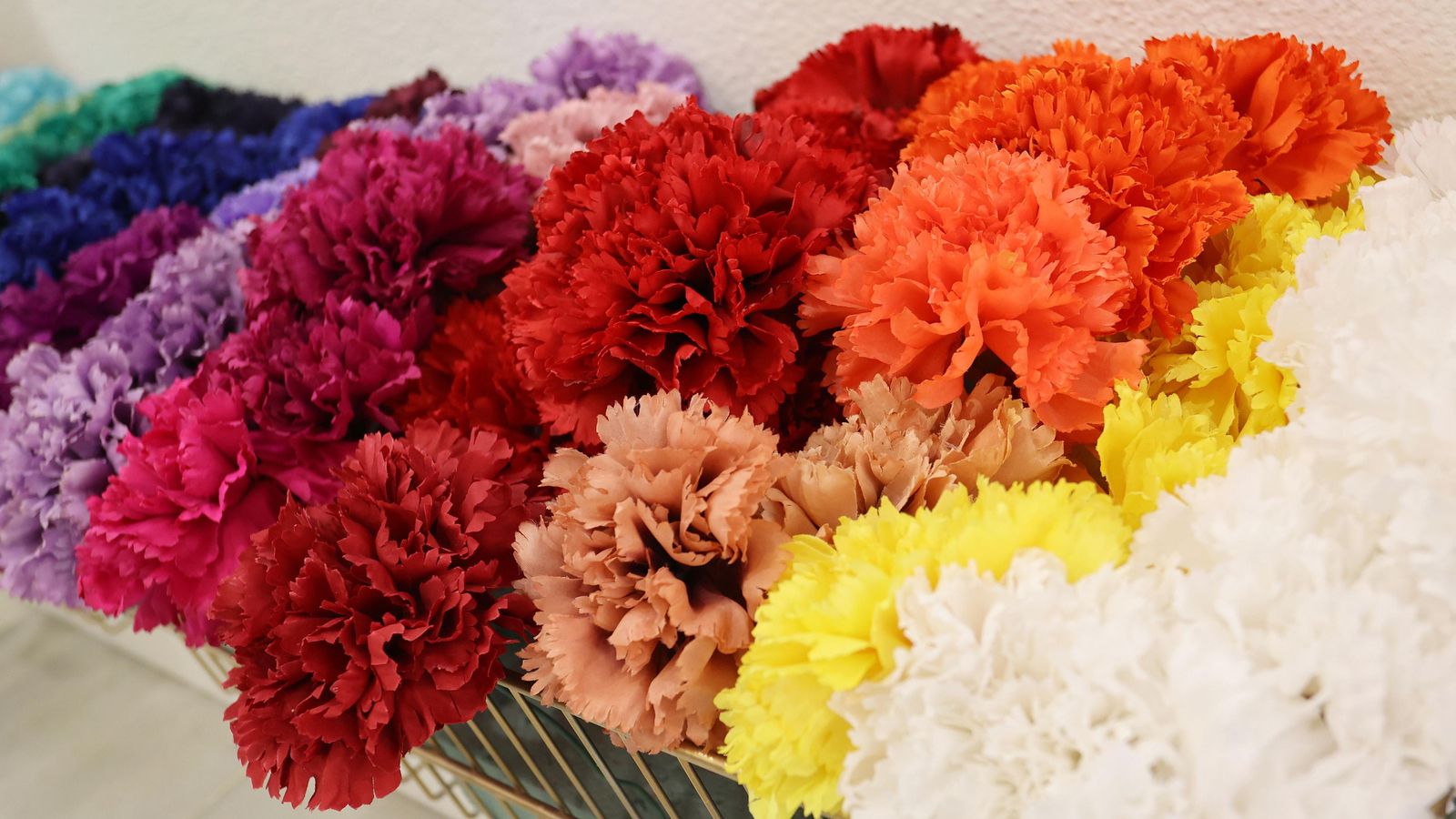 Los claveles son las flores estrellas para este año en el Real de la Feria.