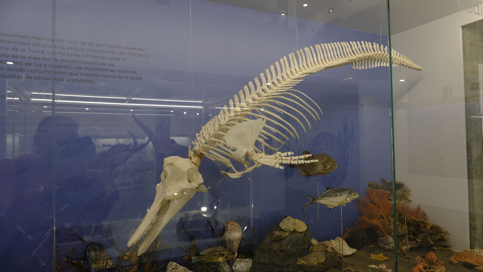 Las mejores imágenes del Pabellón de Historia Natural de la UAL