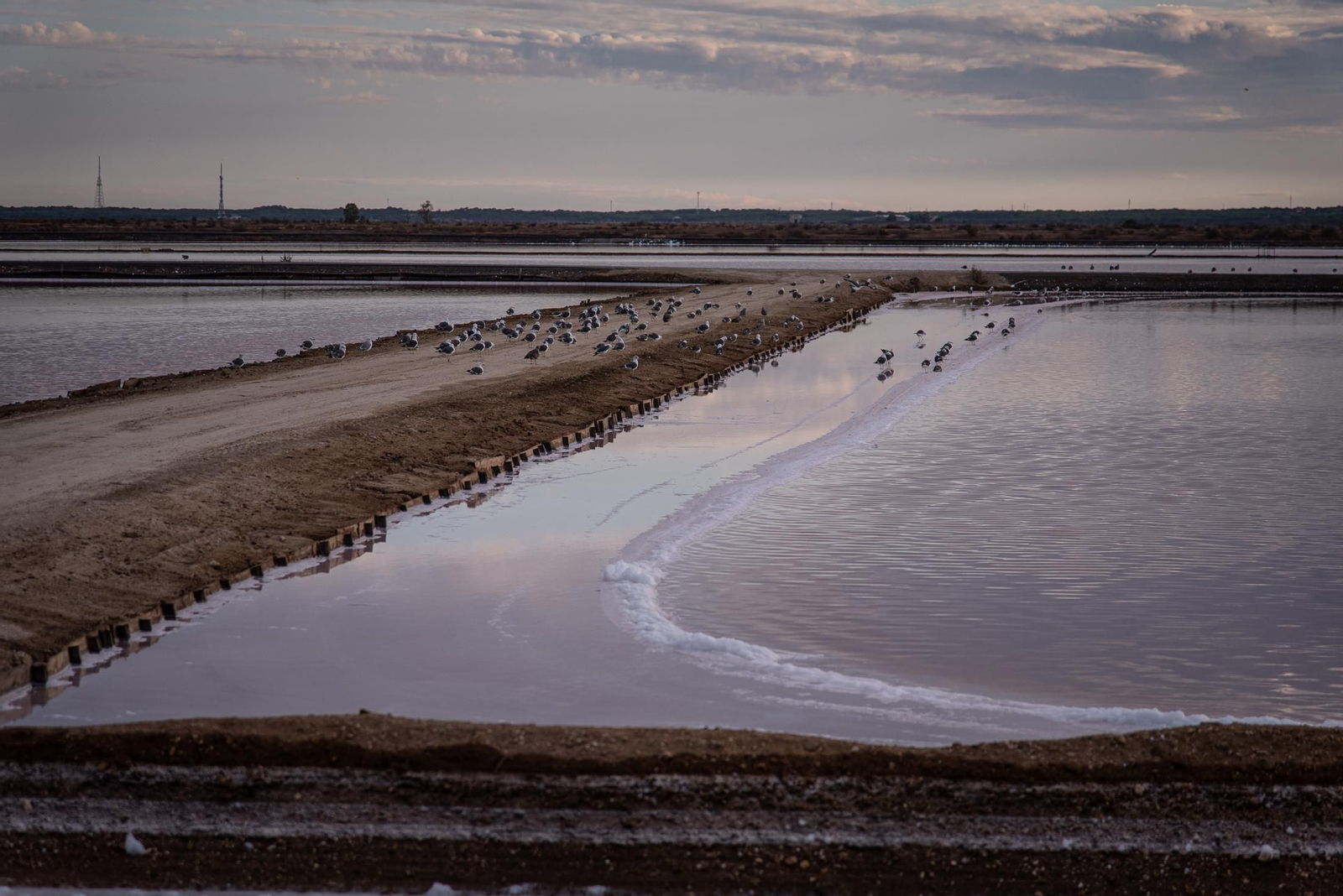 Las marismas de Huelva
