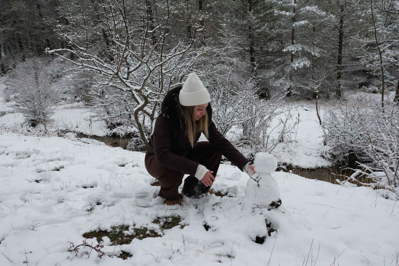 Nevada en el interior del Parque Nacional Sierra de las Nieves.
