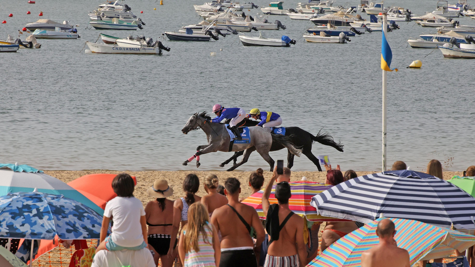 Segunda jornada del primer ciclo de las Carreras de Caballos de Sanlúcar