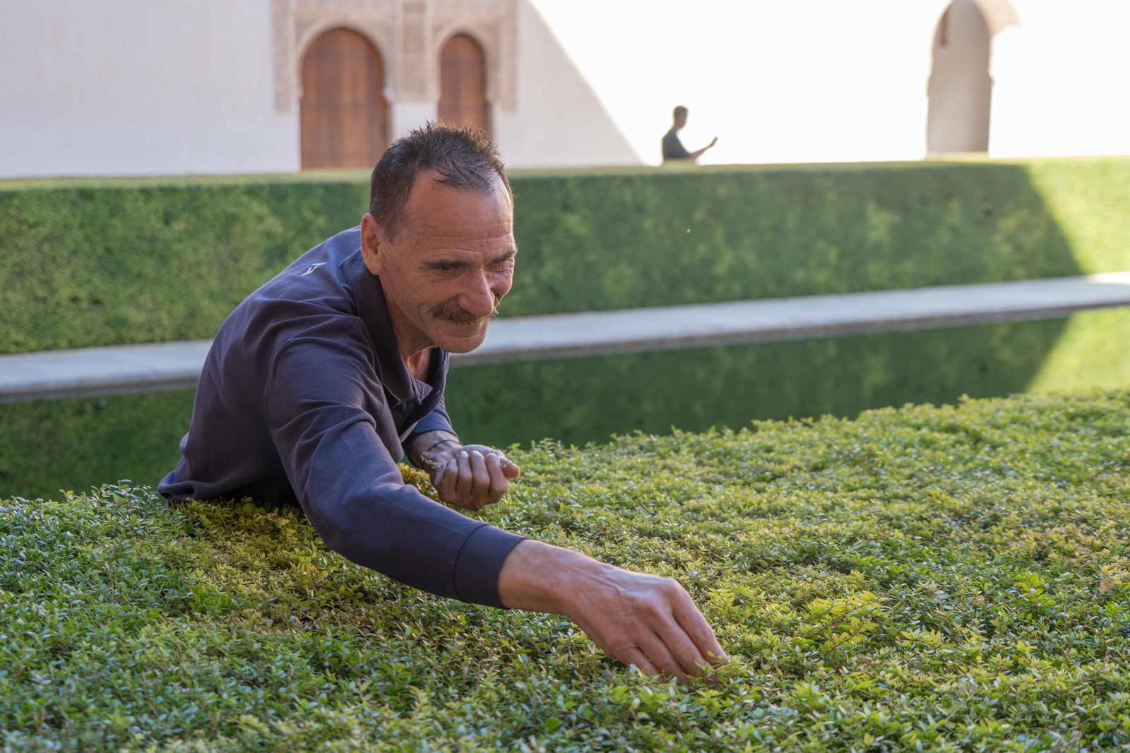 El trabajo de poda en la Alhambra, en imágenes