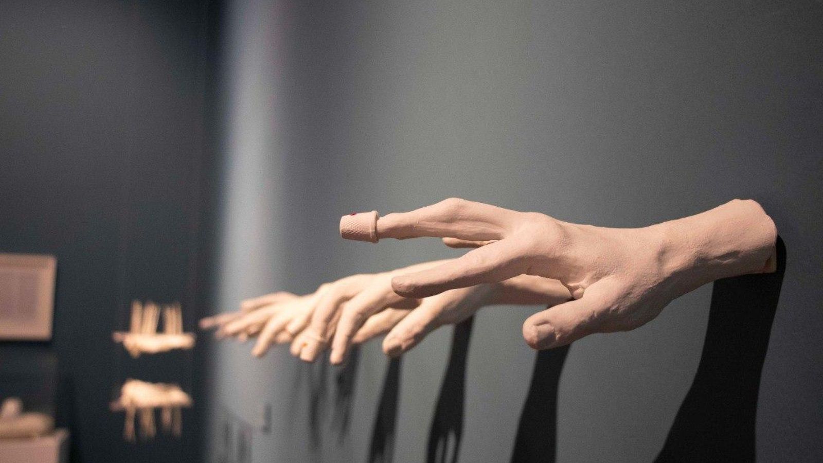 Exposición 'BARRO. La cerámica en el patrimonio de la Universidad de Granada'