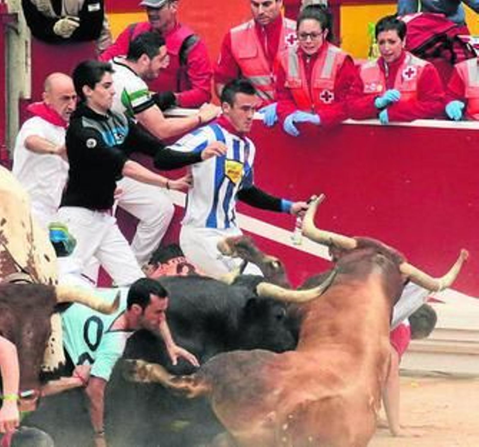 Montonera a la entrada de la plaza y 'miuras' por la arena.