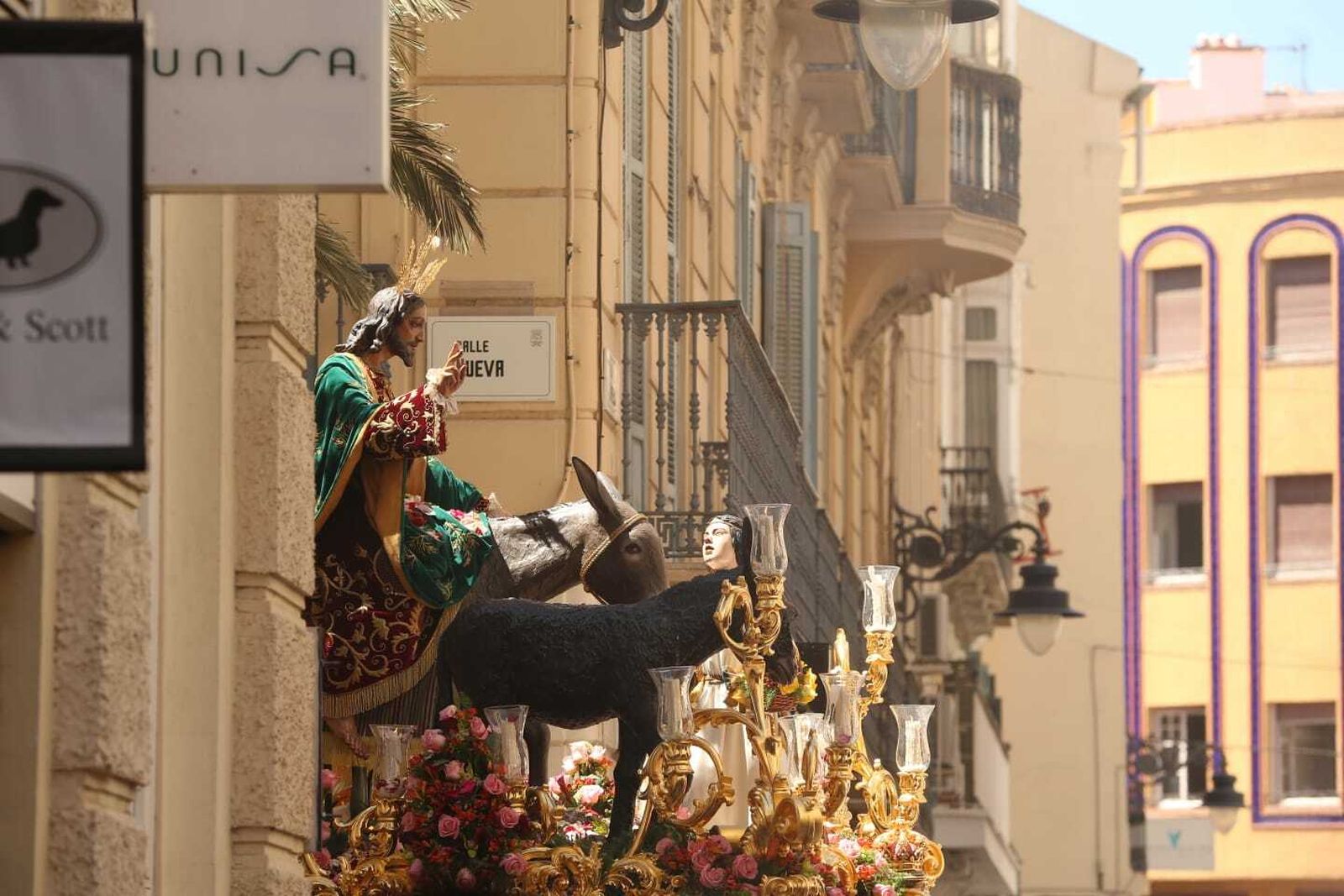 Las fotos de Pollinica en el Domingo de Ramos en Málaga