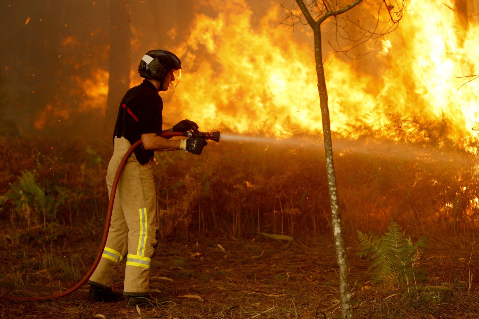 Los incendios declarados en Galicia, en imágenes