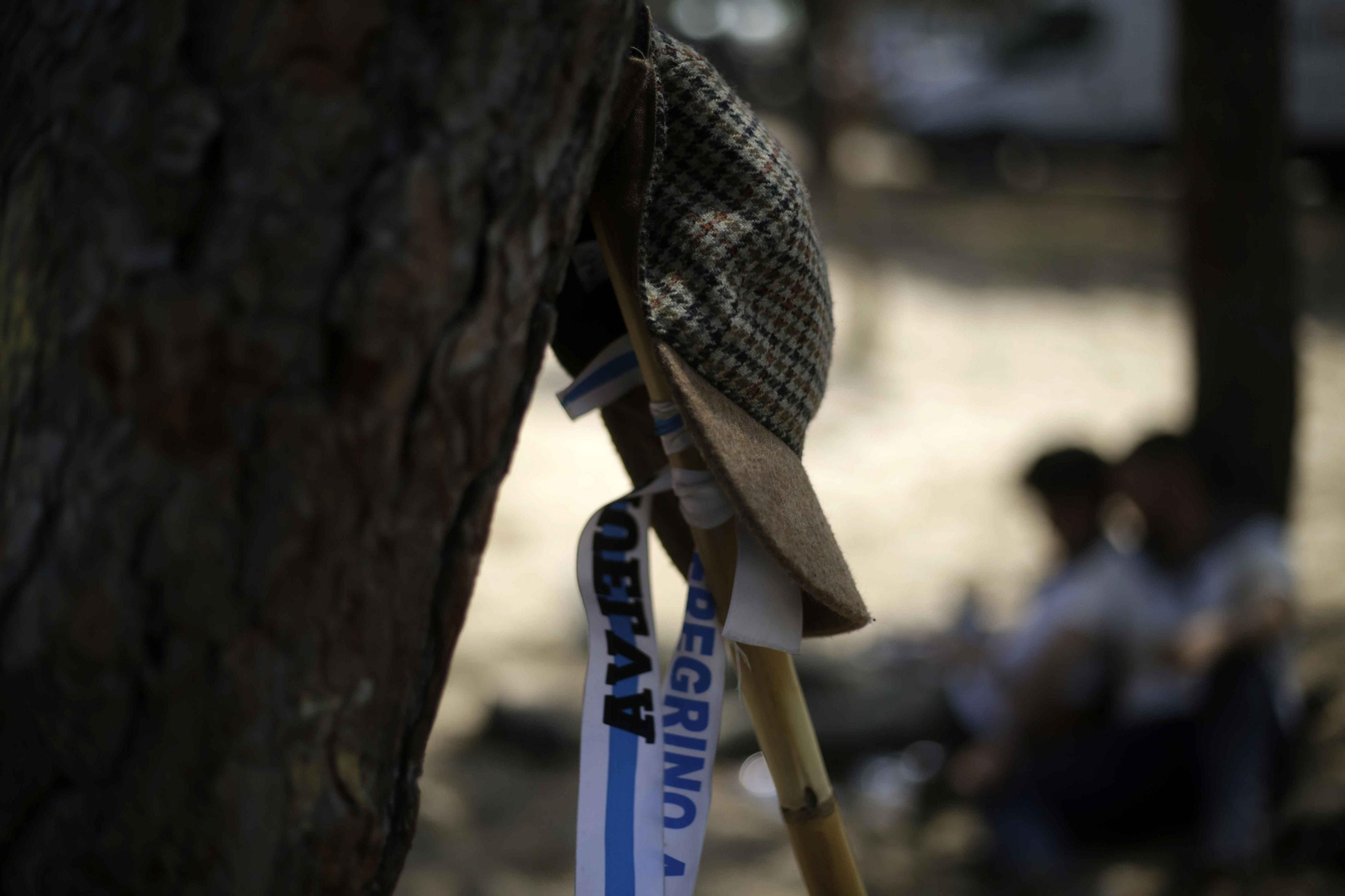 El Rocío 2023: Imágenes del Camino de la Hermandad del Rocío de Huelva