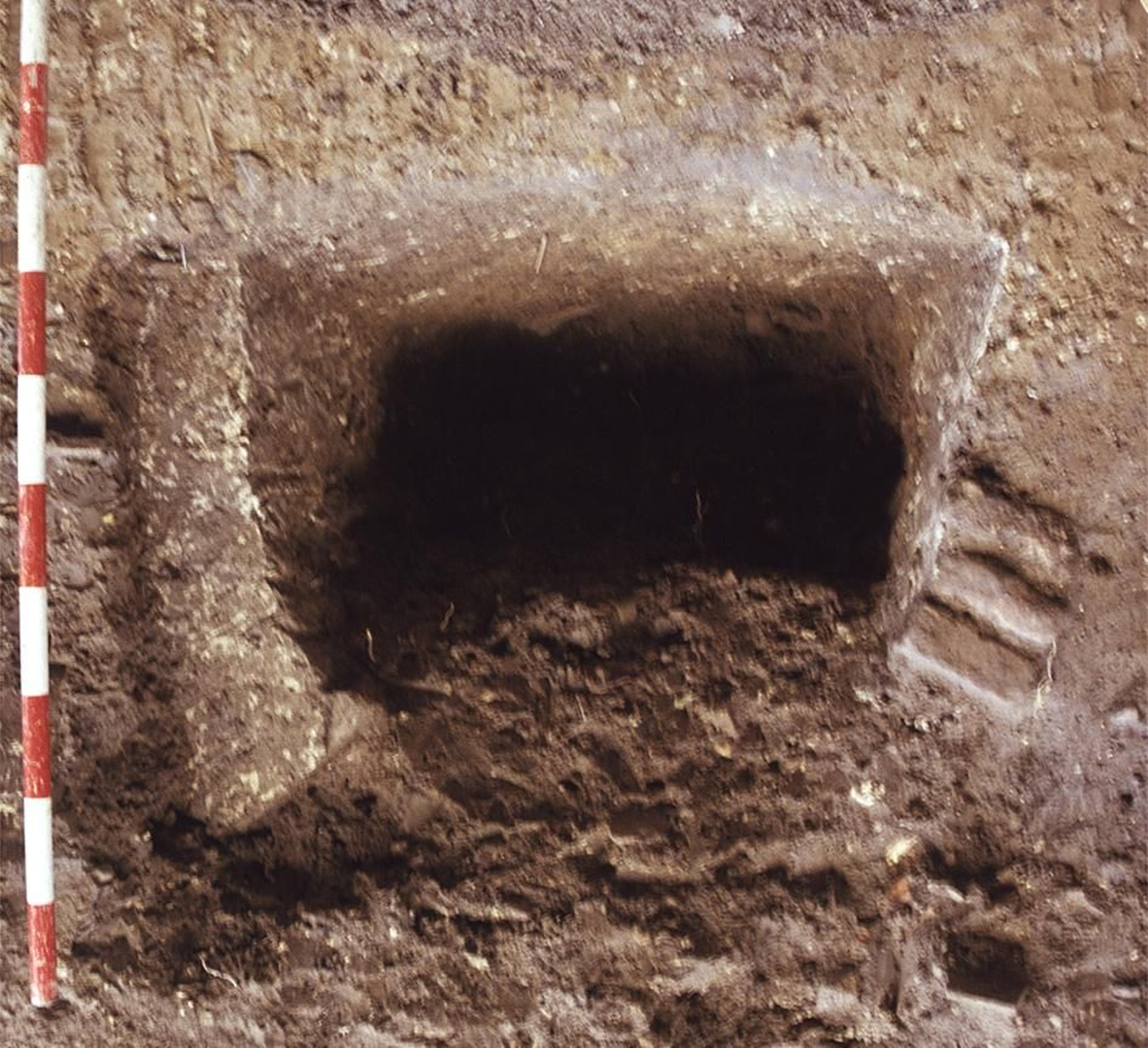 Tumba hallada en la calle Campamento del barrio de San Bernardo durante las excavaciones arqueológicas.