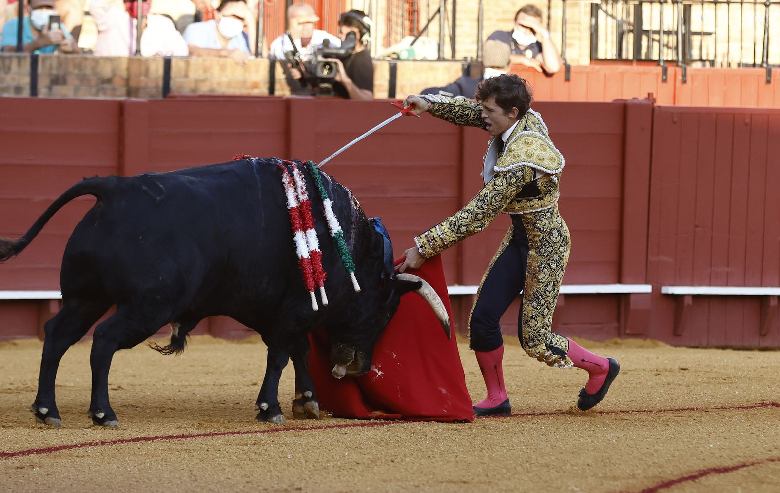 Fotos de la segunda novillada de la feria de San Miguel de Sevilla