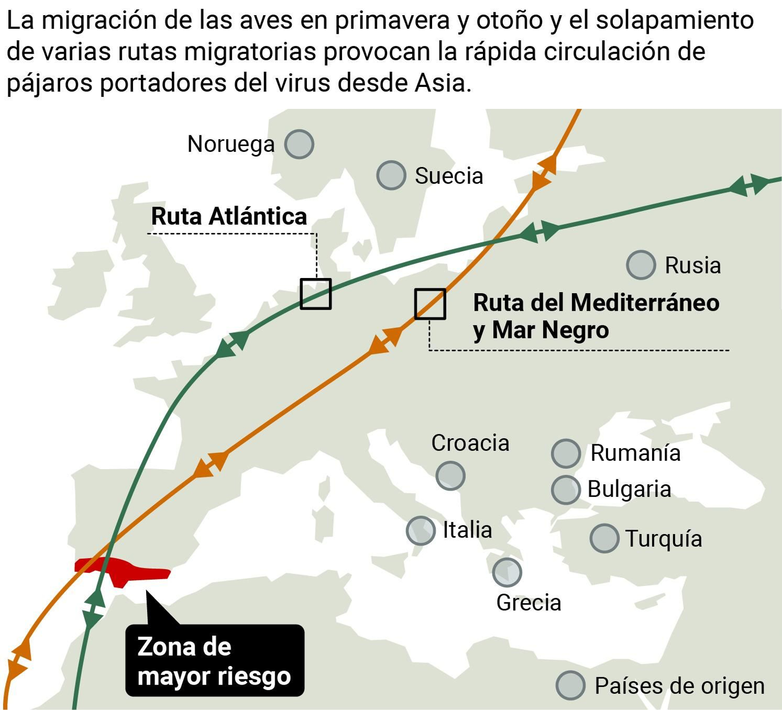 Rutas migratorias de las aves transmisoras de la gripe aviar