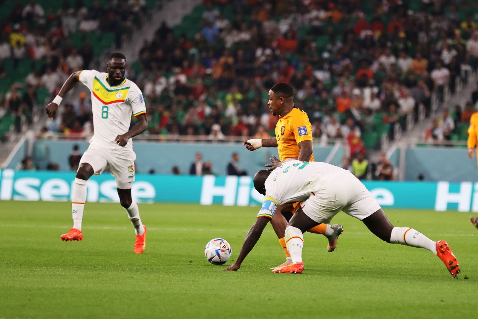 Las imágenes del Senegal - Países Bajos