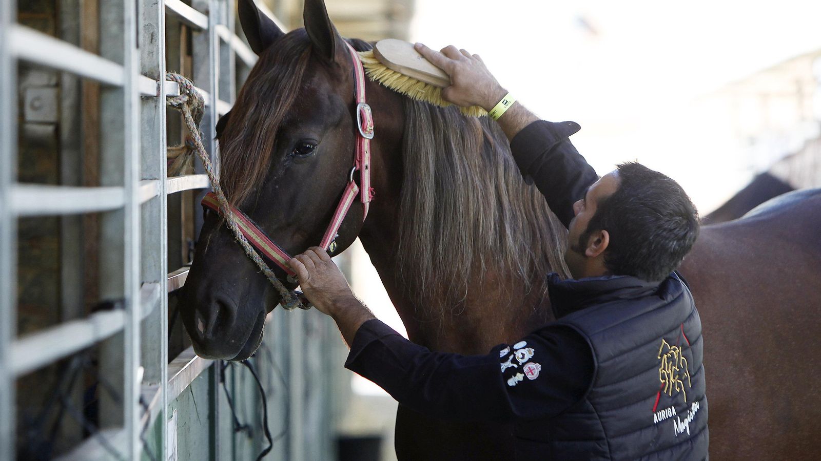 Profesionales procedentes de distintos puntos de España estarán presentes.