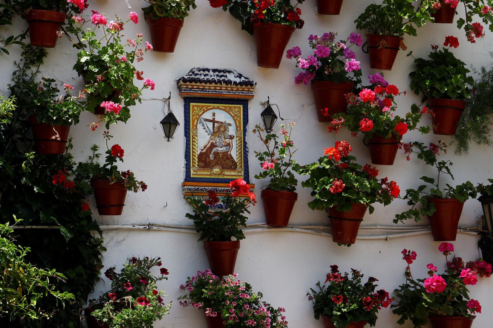 Un recorrido en imágenes por los patios de la ruta Regina-Realejo