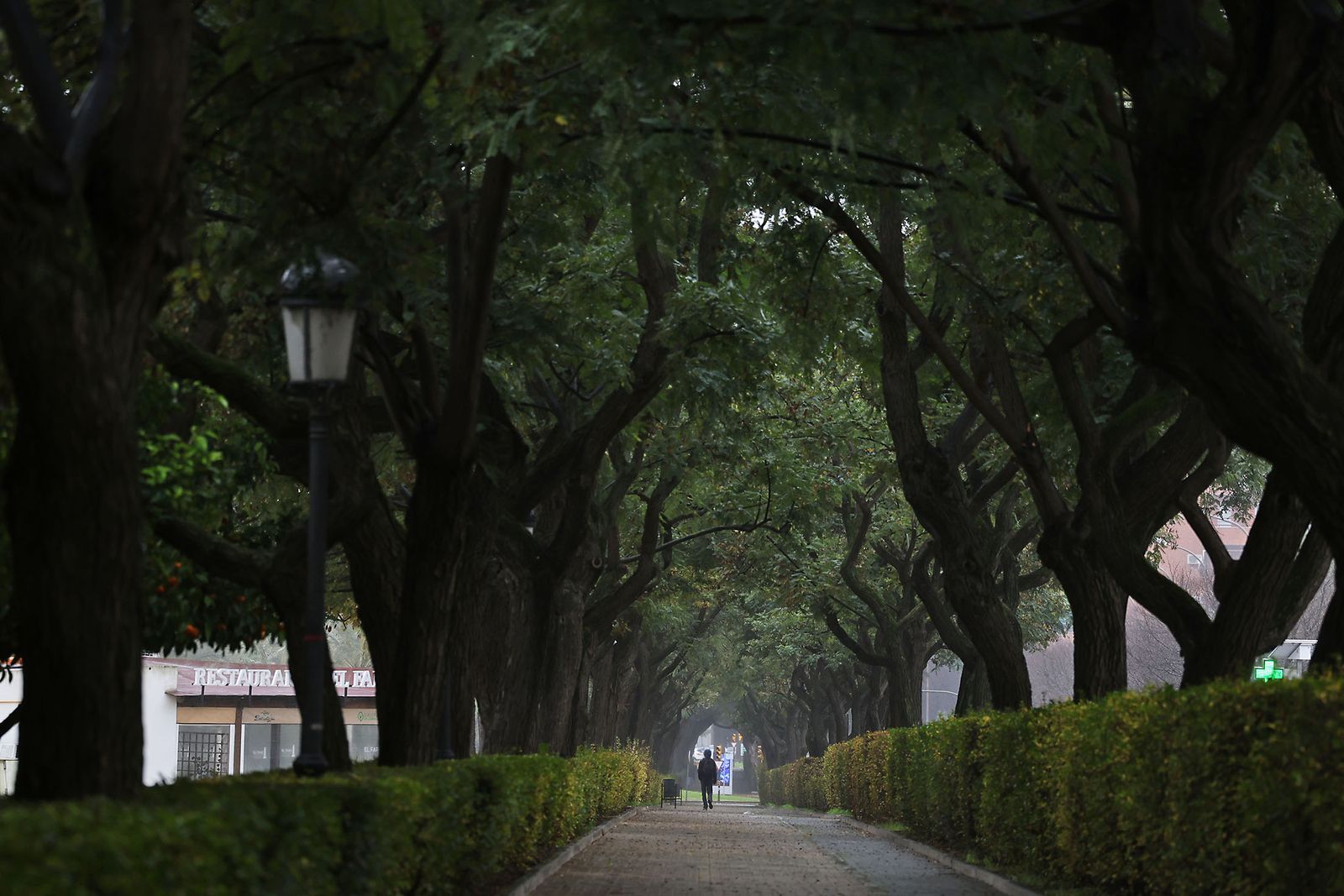 Las imágenes más destacadas del sábado 25 de enero en Huelva