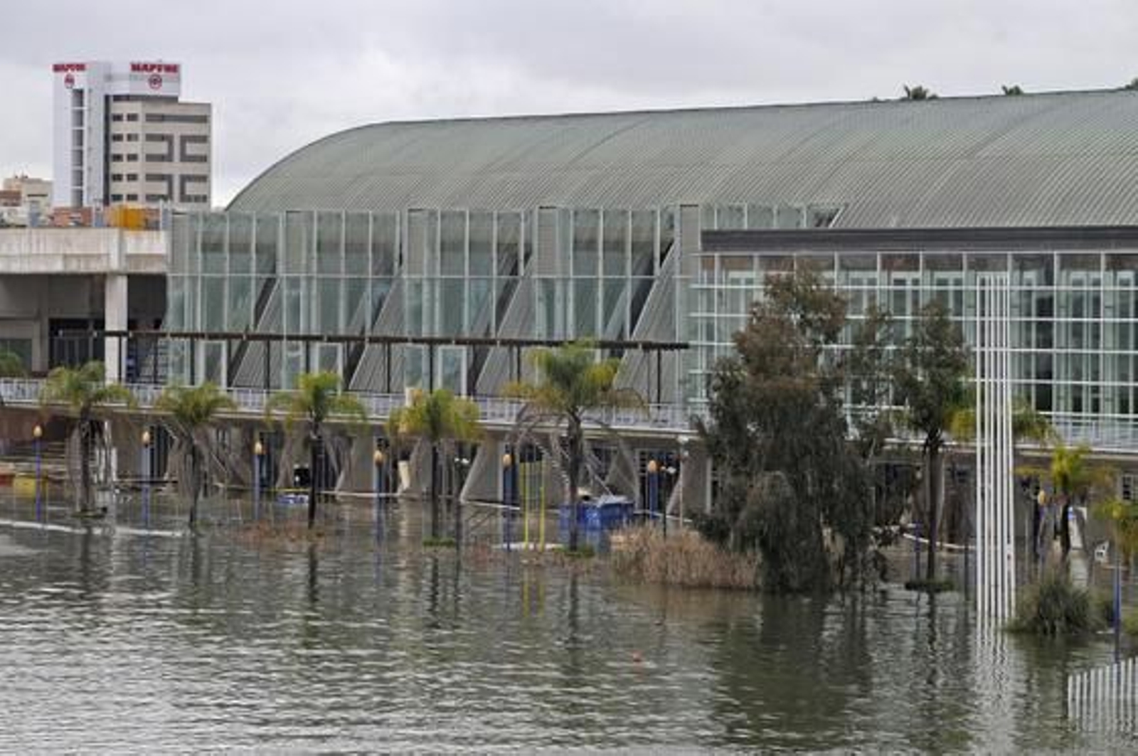 Una zona de La Cartuja inundada.

Foto: Juan Carlos Vázquez