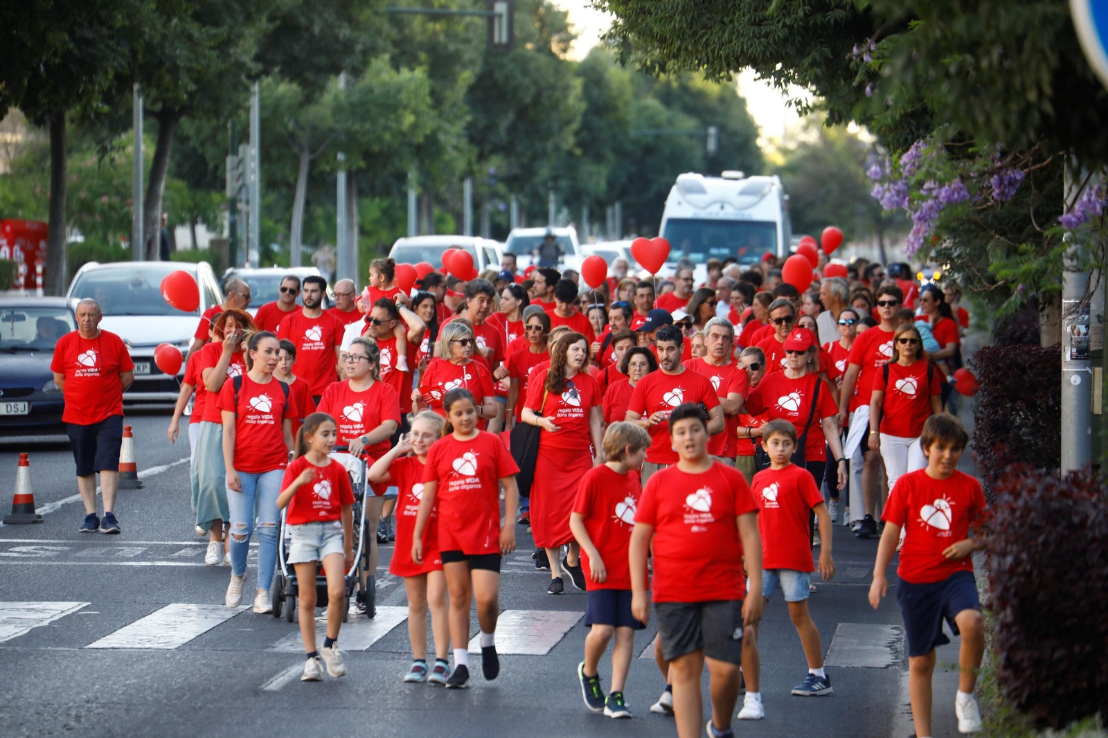 La Marcha por la Donación del Reina Sofía, en imágenes