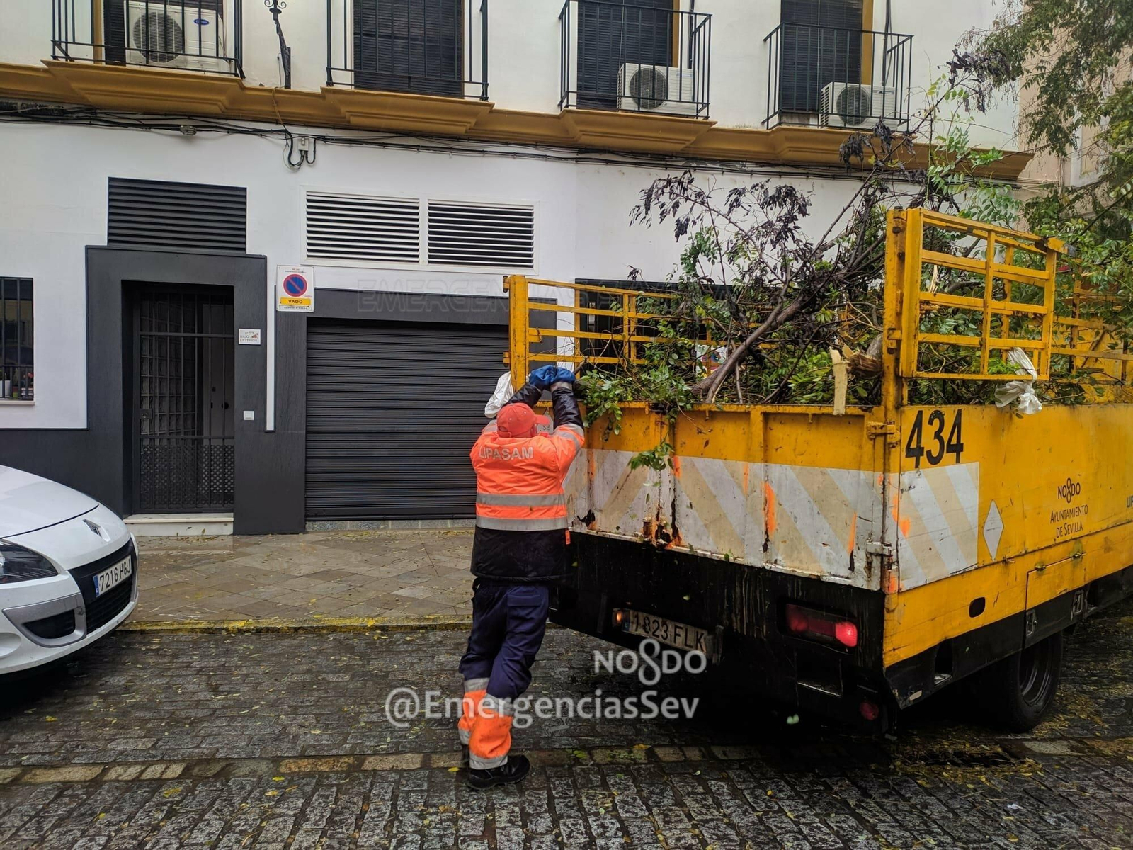 Los operarios de Lipasam retiran ramas de árboles caídas.