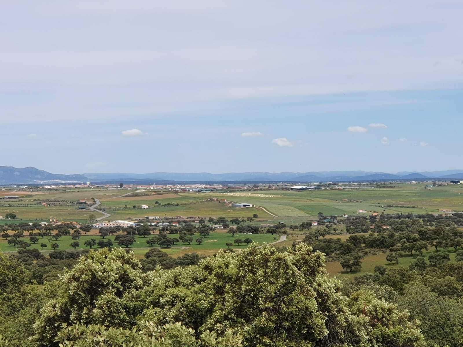 Las fotografías de la primavera en Los Pedroches