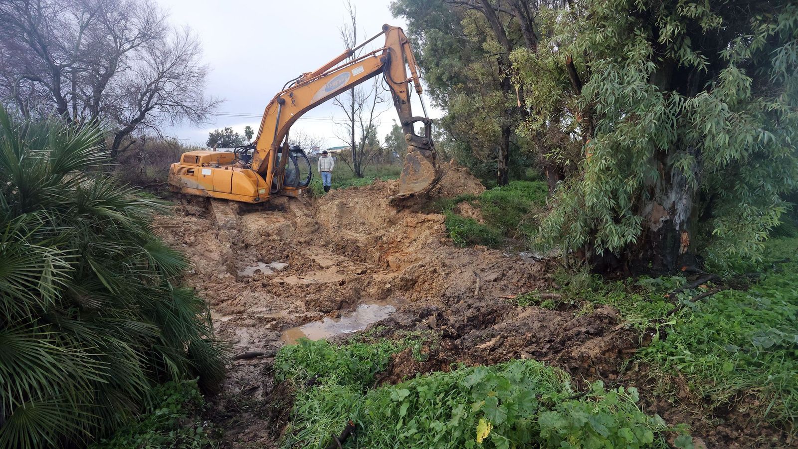 Así afronta la zona rural de Jerez la subida del río Guadalete