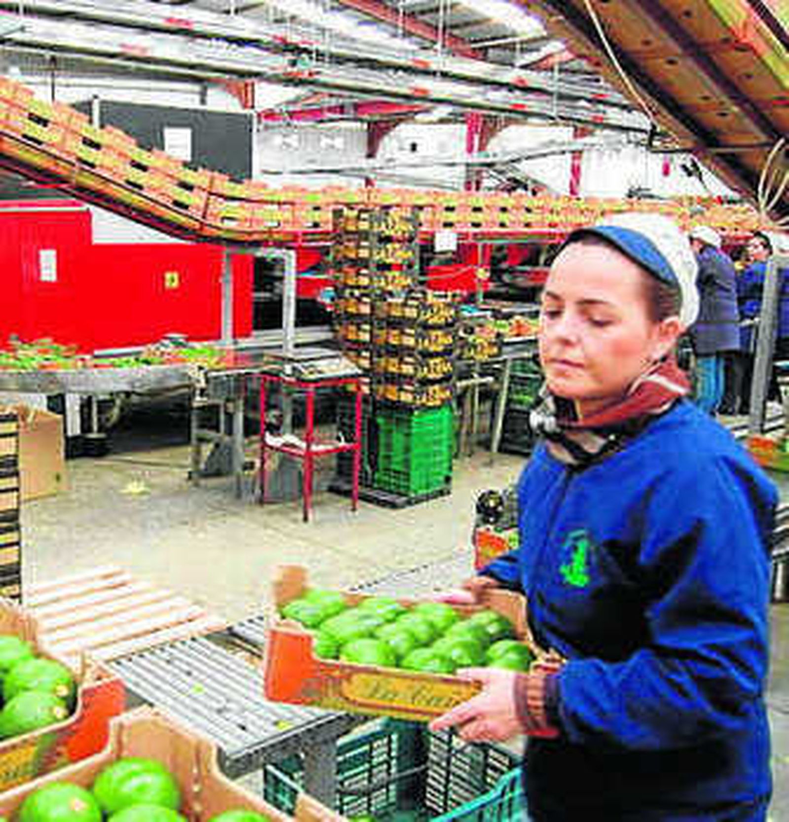 Imagen de una envasadora.