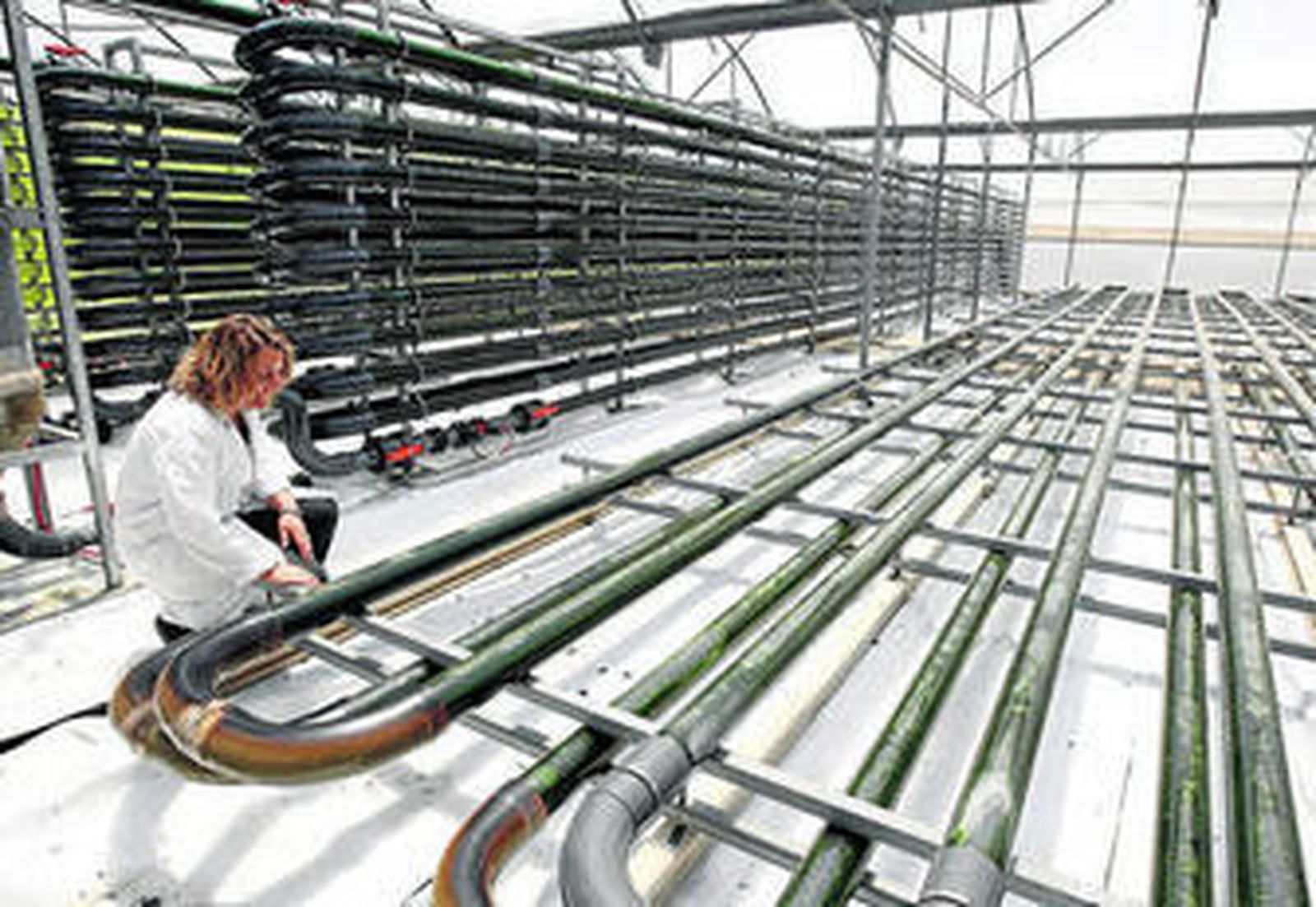 La Estación Experimental de la Fundación Cajamar en Las Palmerillas cuenta con una planta de microalgas.
