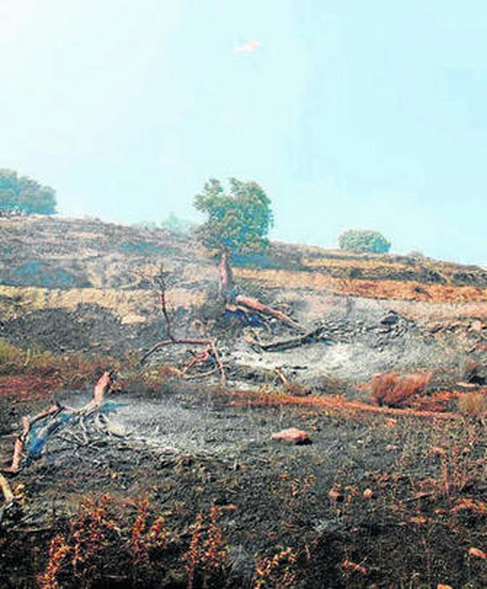 1. El fuego se reactivó en la zona conocida como Paraje de Mezquerina, en plena Sierra de Lanjarón.  2. El sábado habían ardido veinte hectáreas de cultivos abandonados, pinar y matorral. Se está a la espera de conocer los datos definitivos. 3. Bomberos trabajan en la zona calcinada. /Fotos: Juanjo Romero