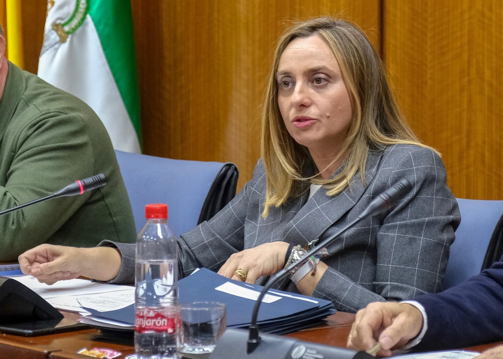 La consejera de Fomento del Gobierno andaluz, Marifrán Carazo, en el Parlamento.